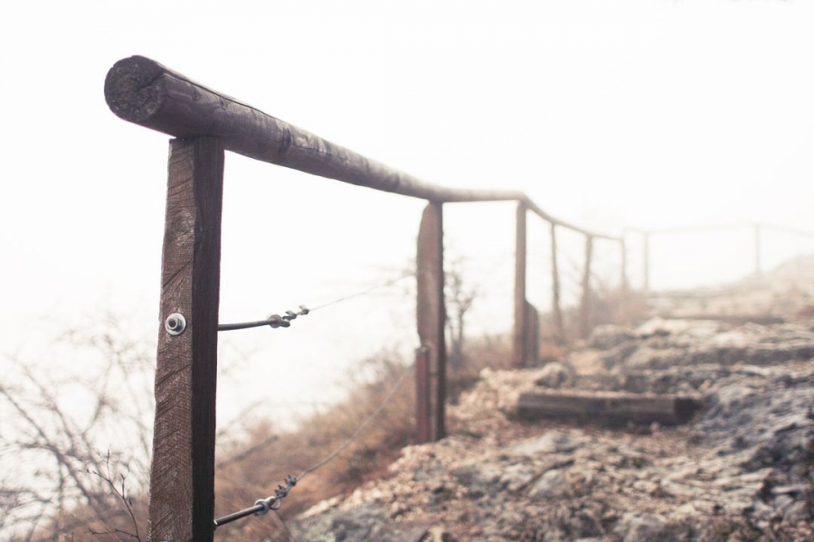 Conexa Digital Health